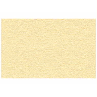 Reklamekartong 2s 50x70 beige